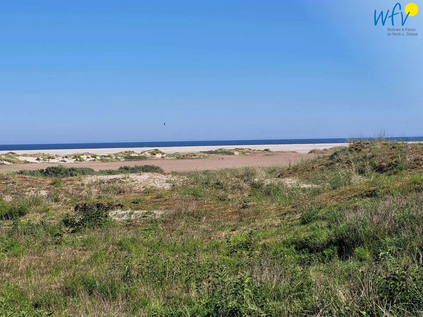 Holiday Residenz II Ferienwohnung Nordseeliebe Borkum -