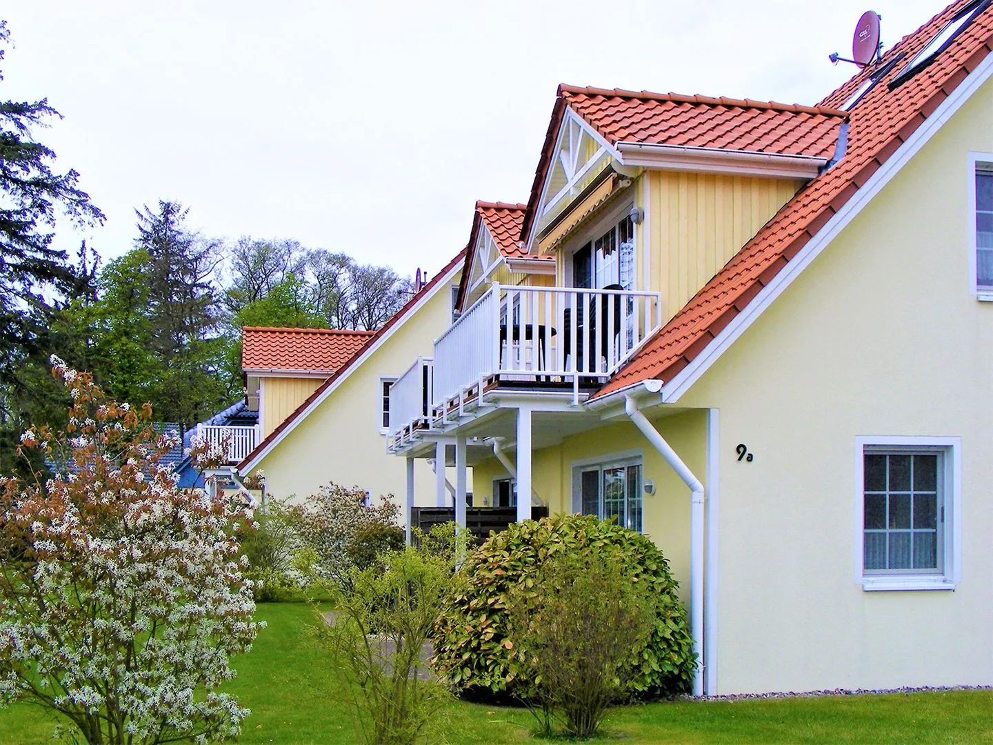 Buchengrund Buchengrund Wo 5 Ostseebad Prerow -