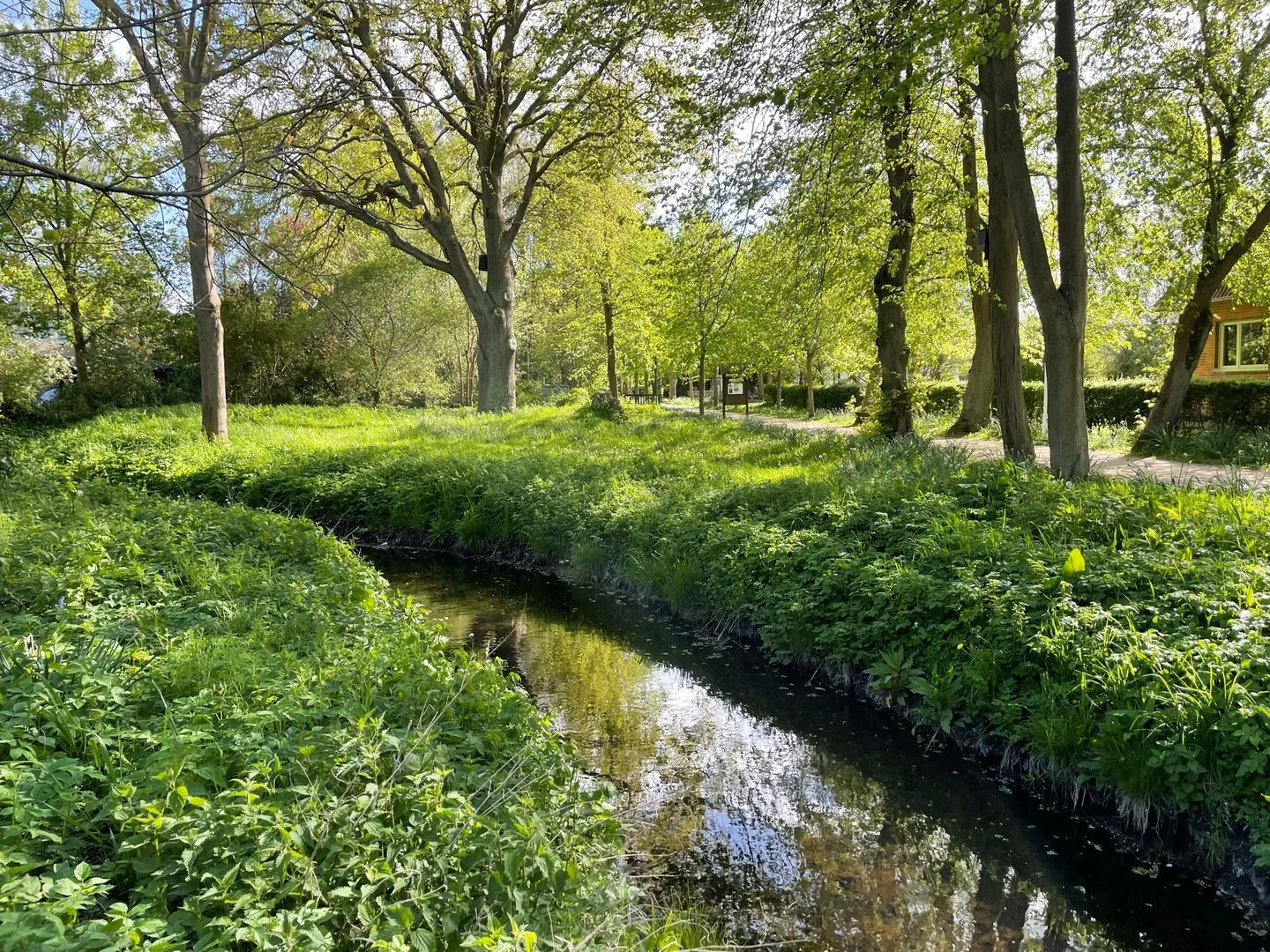Ferienhaus an der Au Dahme - Dahmer Au direkt neben dem Ferienhaus