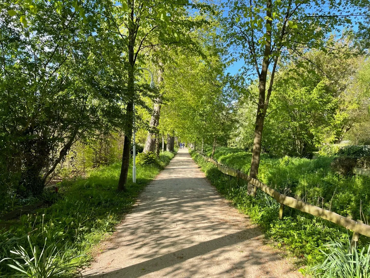 Ferienhaus an der Au Dahme - Sandweg vor dem Ferienhaus in Richtung Kurpark und Zentrum (600m)