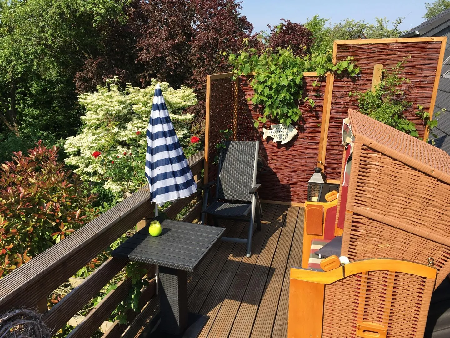 Sternenblick Neue Tiefe -