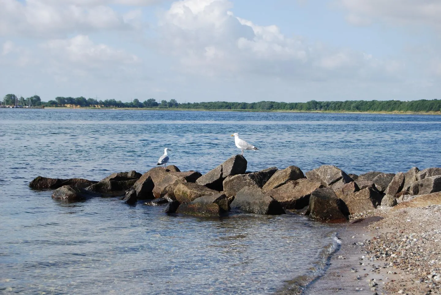 Backbord Fehmarnsund -