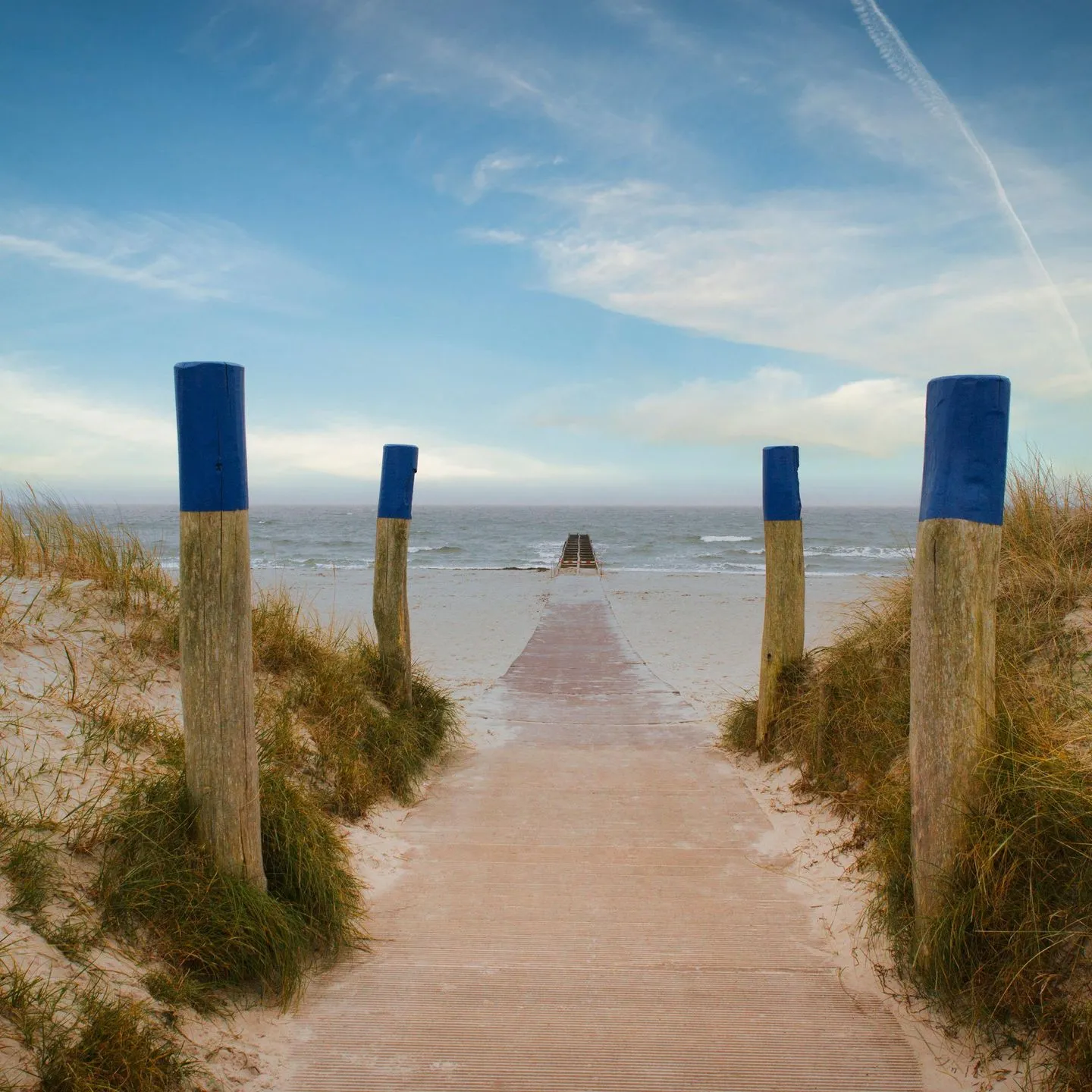 Möwennest Südstrand Burgtiefe -