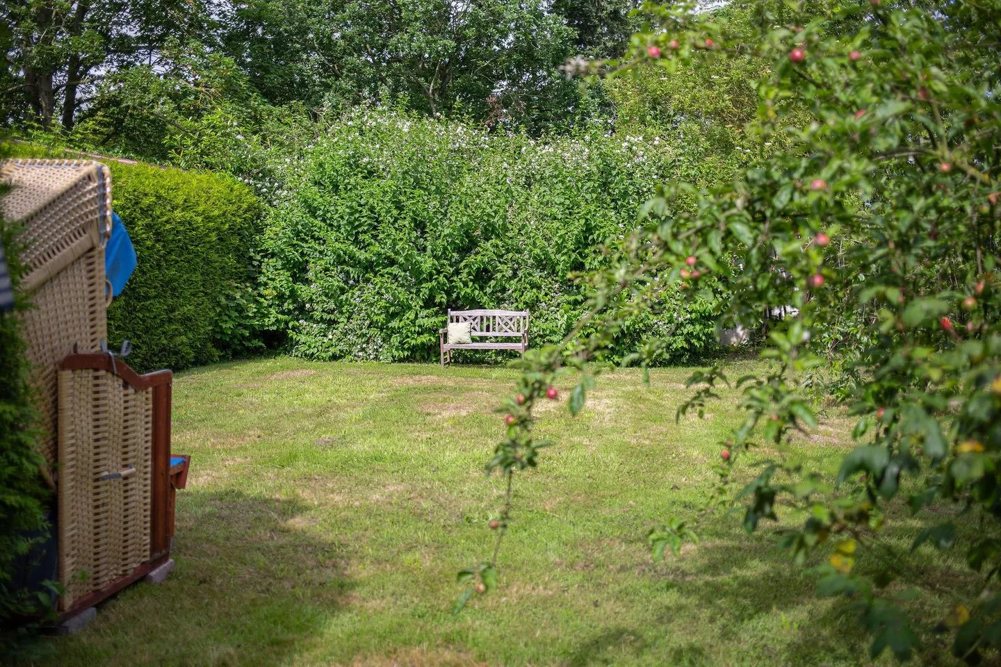 Apfelblüte Puttgarden -