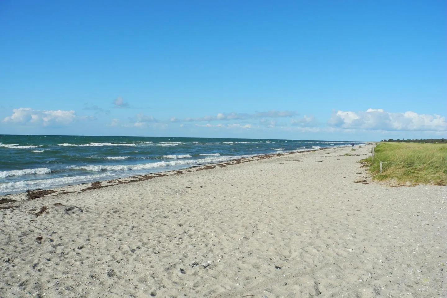 Fehmarn Ostseeferien Ferienhaus Keinemann (113/1) Püttsee -