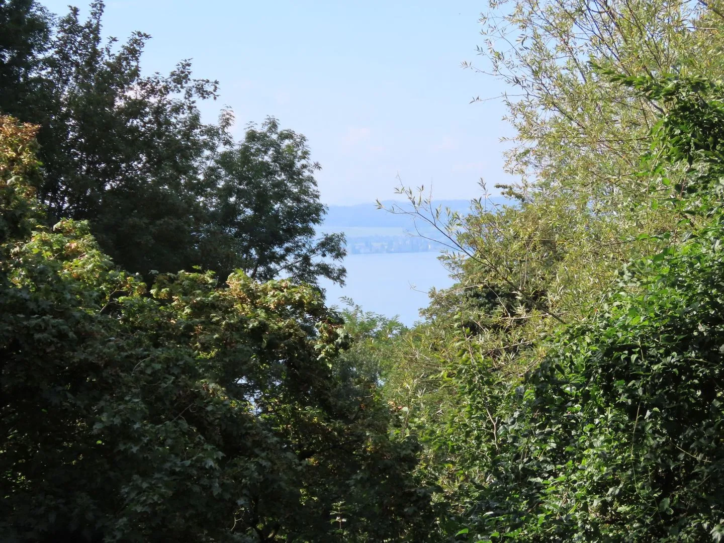 Ferienwohnung Oase am Rosenhag Meersburg - Landschaft