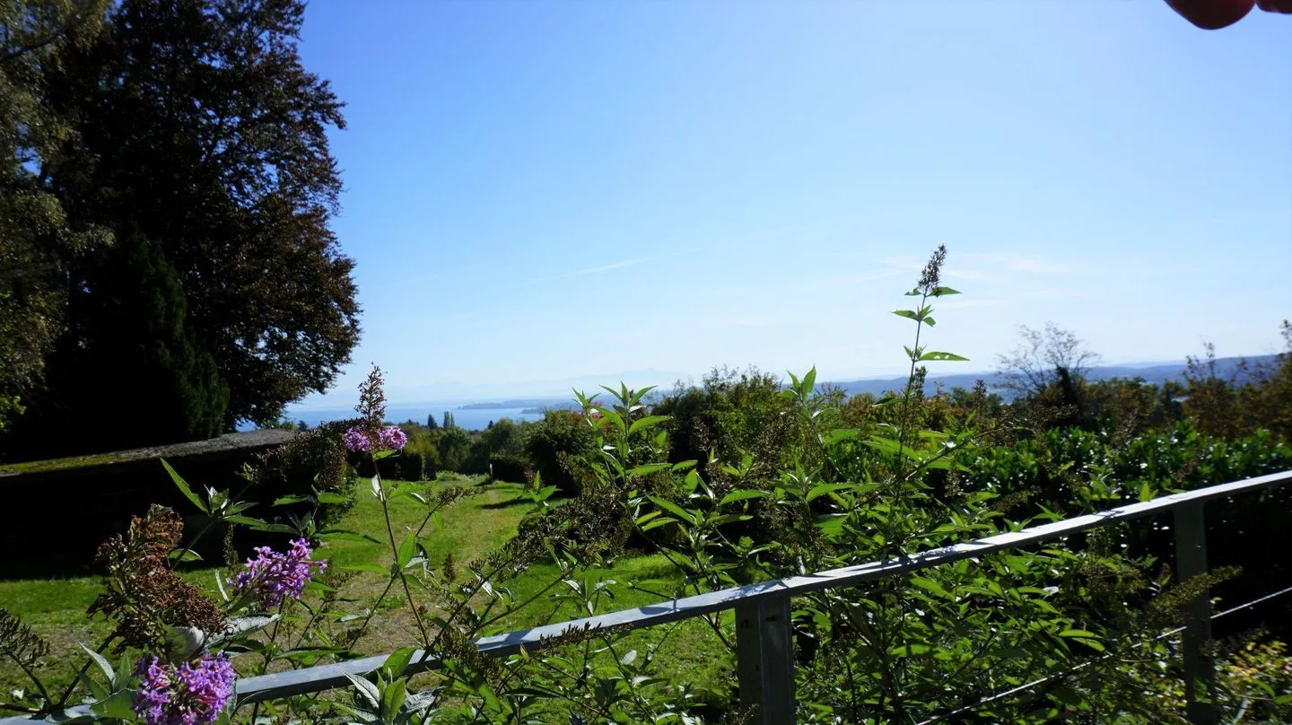 Ferienhaus Spetzgart Überlingen - Meerblick