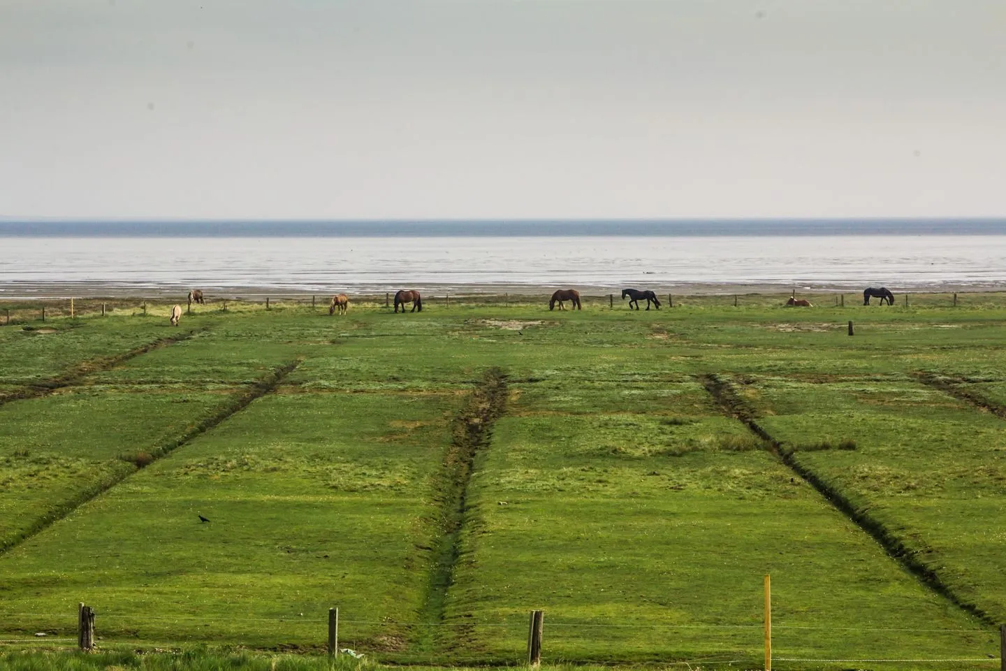 Dünenhuus West Juist - Landschaft