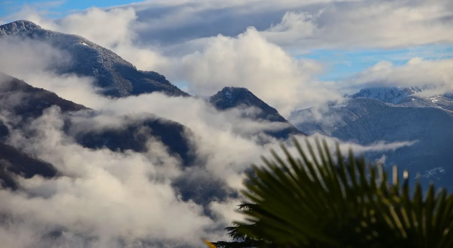 Eckwohnung C01 Lago Maggiore - Landschaft