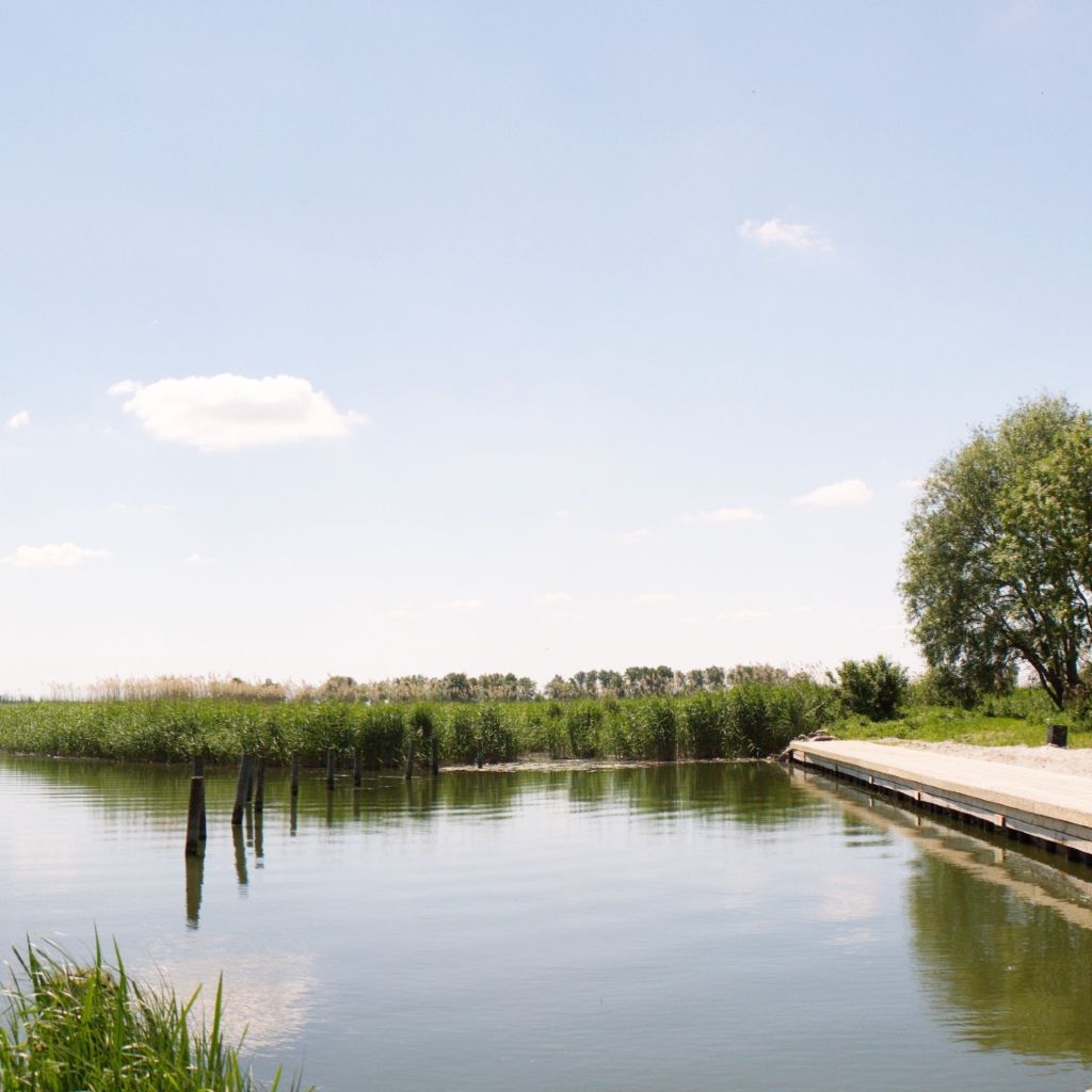 Landschaft Achterwasser Usedom