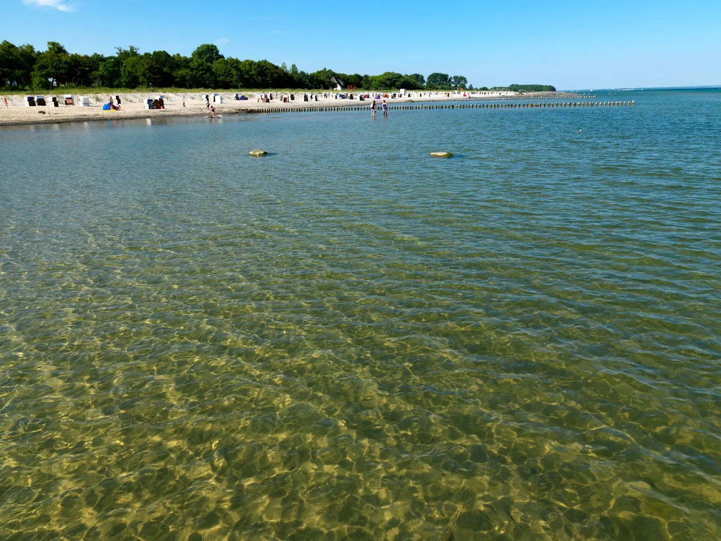 Ostsee Residenz Meeresblick Strandläufer Schwarzer Busch - Beach