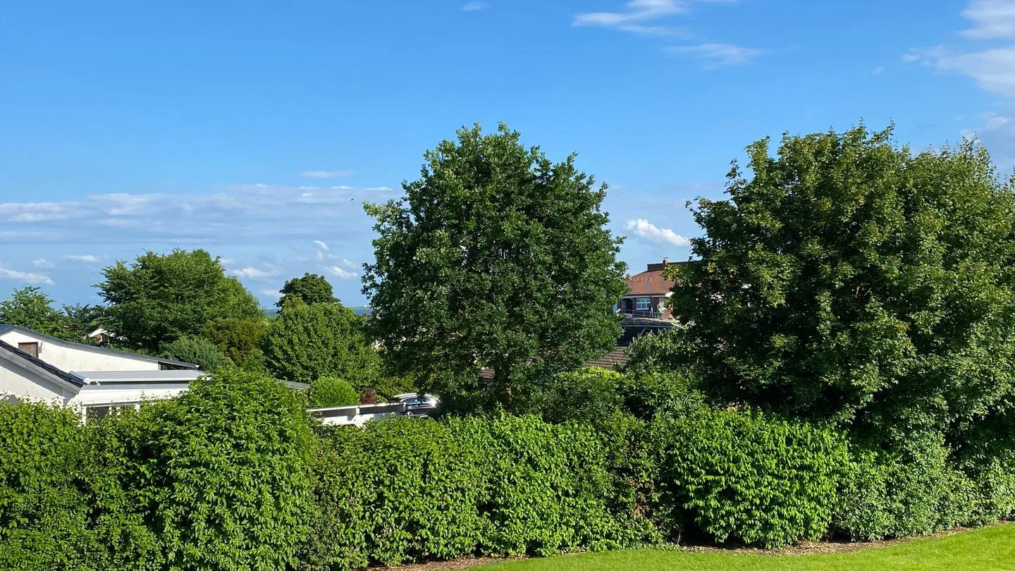 Hus op de Wurth Ferienwohnung 17 Dithmarschen - Landschaft