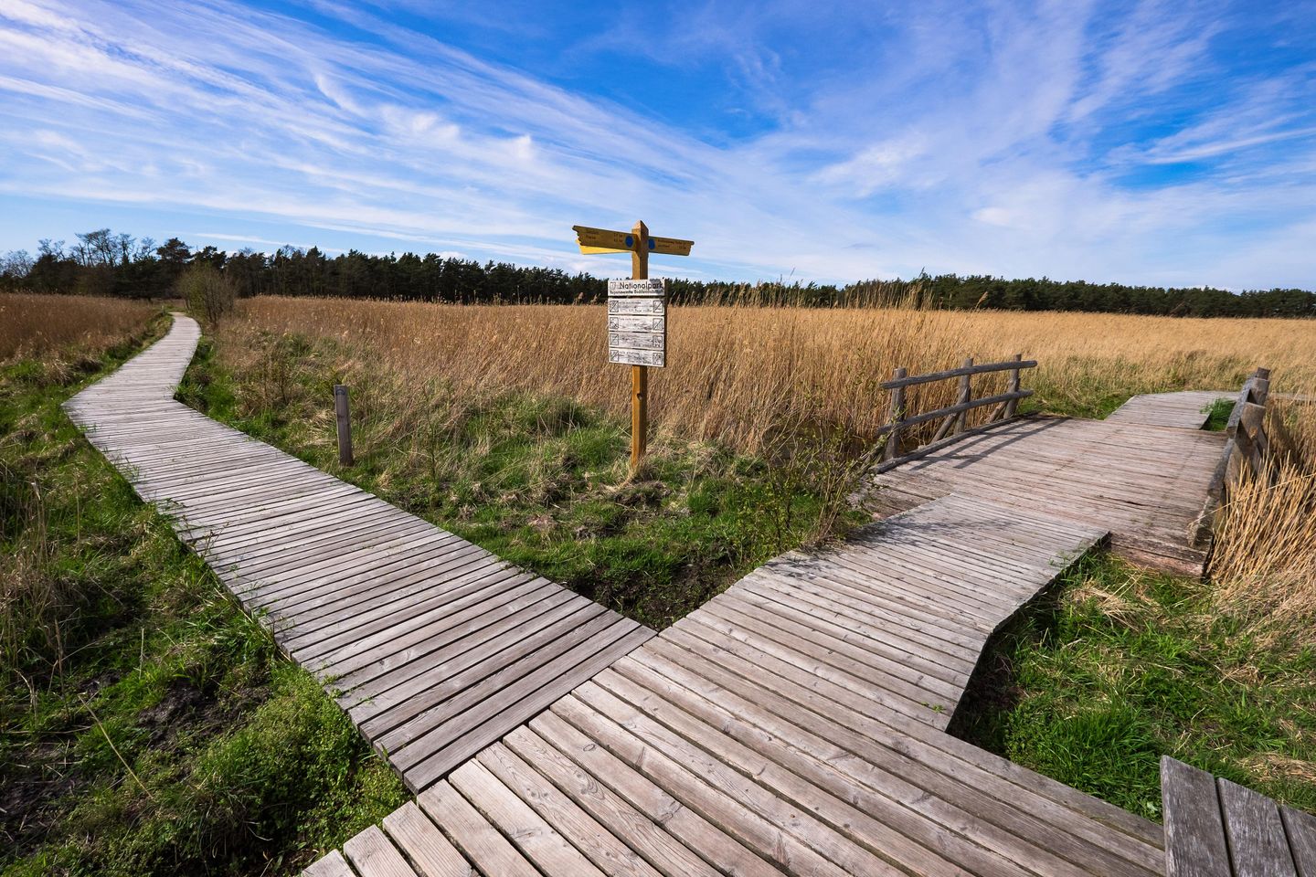 Holzstegweg zum Darßer Ort