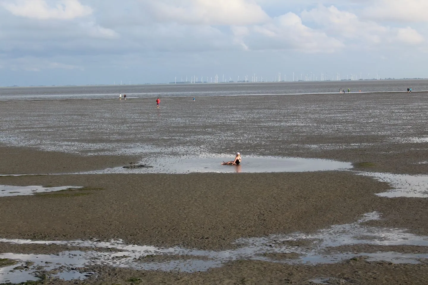 Hus op de Wurth Ferienwohnung seaside sixteen Dithmarschen - Landschaft