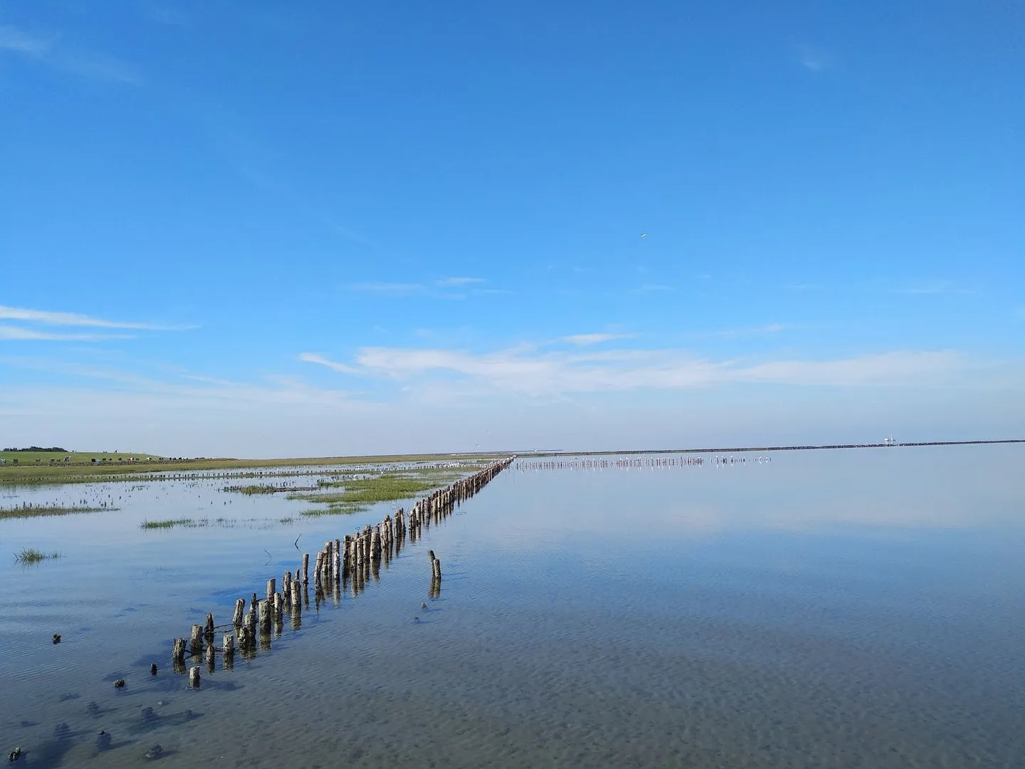 Hus op de Wurth Ferienwohnung seaside sixteen Dithmarschen - Landschaft