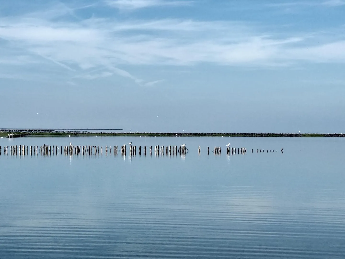Hus op de Wurth Ferienwohnung seaside sixteen Dithmarschen - Landschaft
