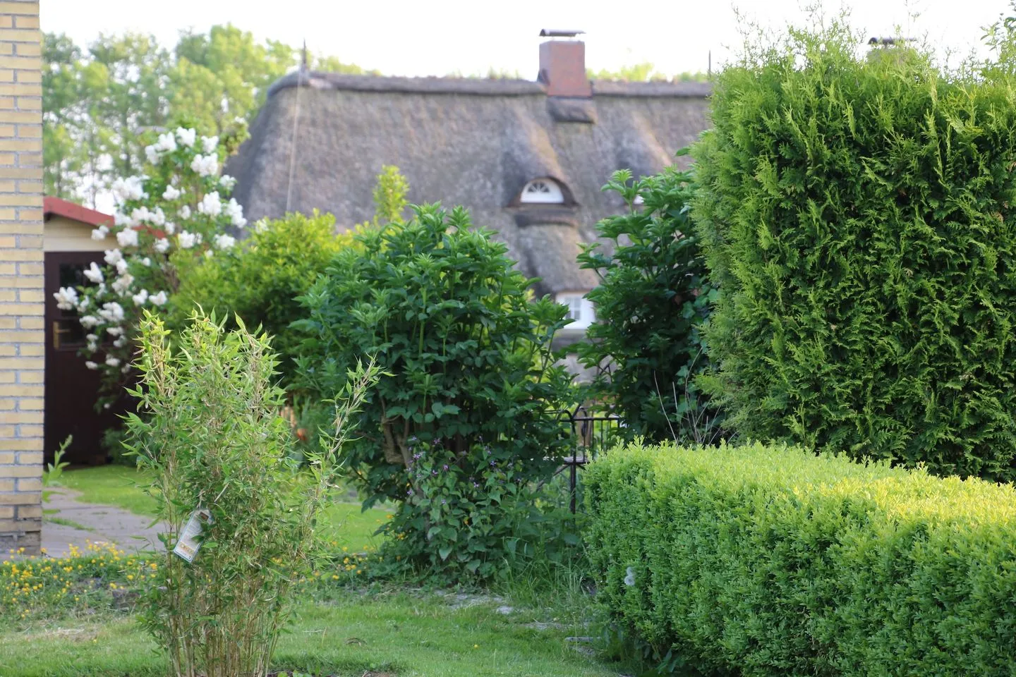 Deichstern Dithmarschen - Garten