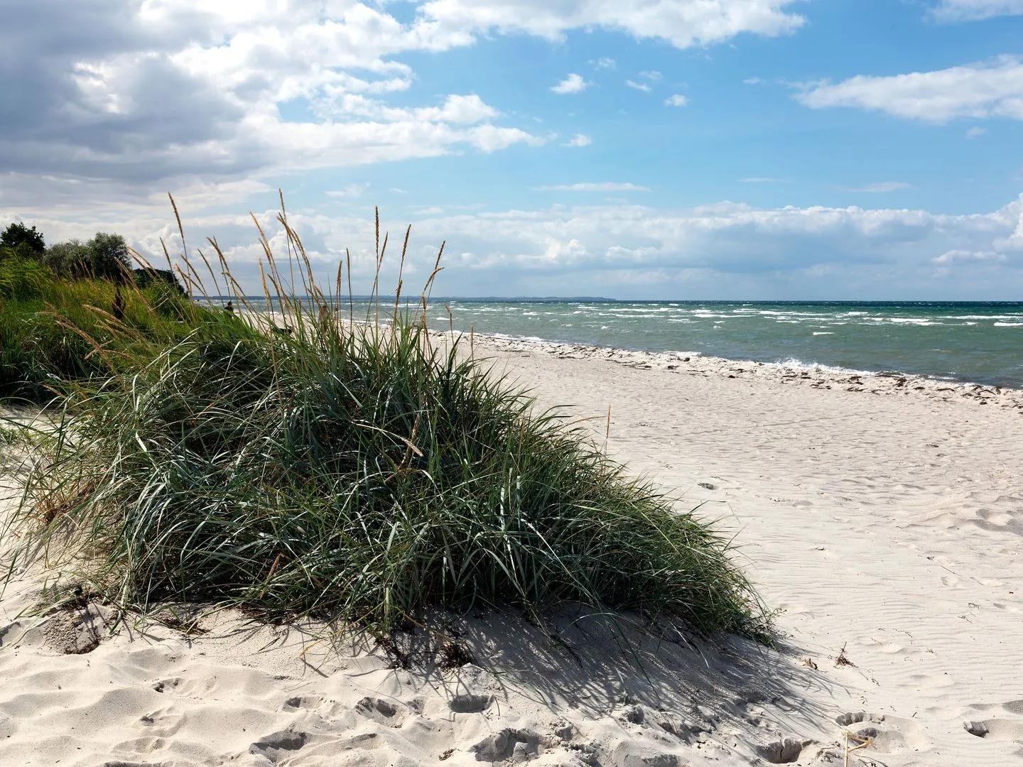 Doppelhäuser zum Reetmoor Haus Kirsten Schwarzer Busch - Beach