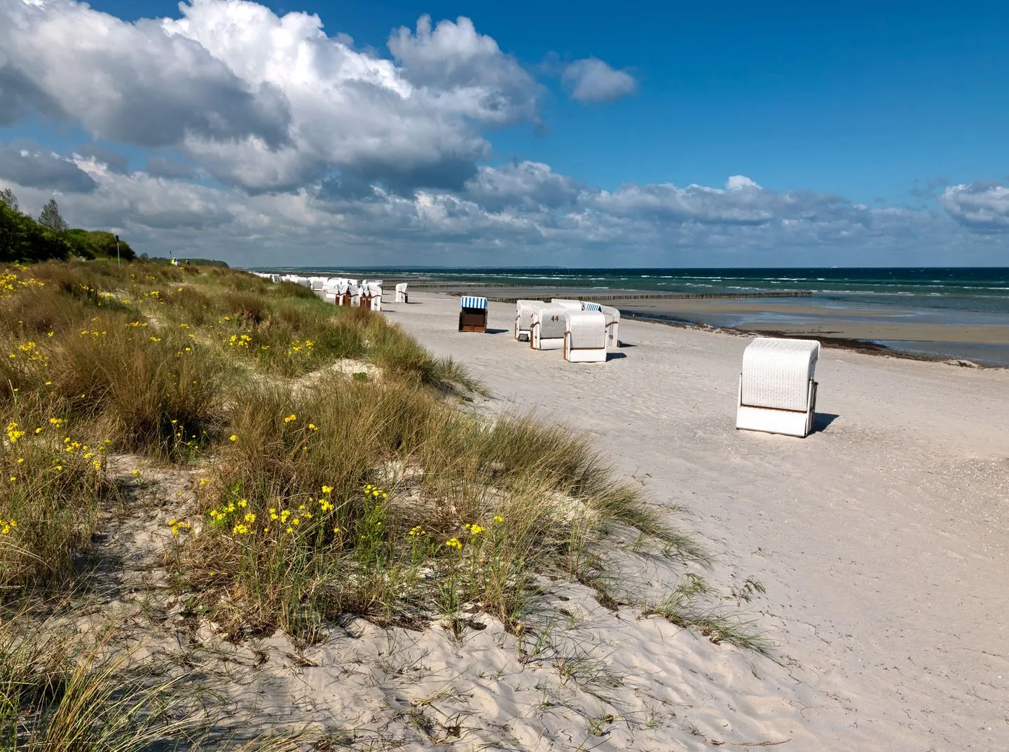 Doppelhäuser zum Reetmoor Haus Friederike Schwarzer Busch - Beach