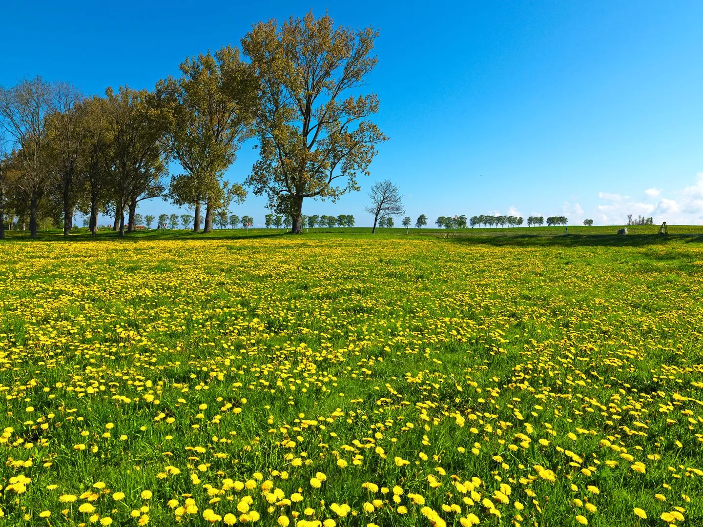 Achtern Kickelbarch Kirchdorf - Scenery