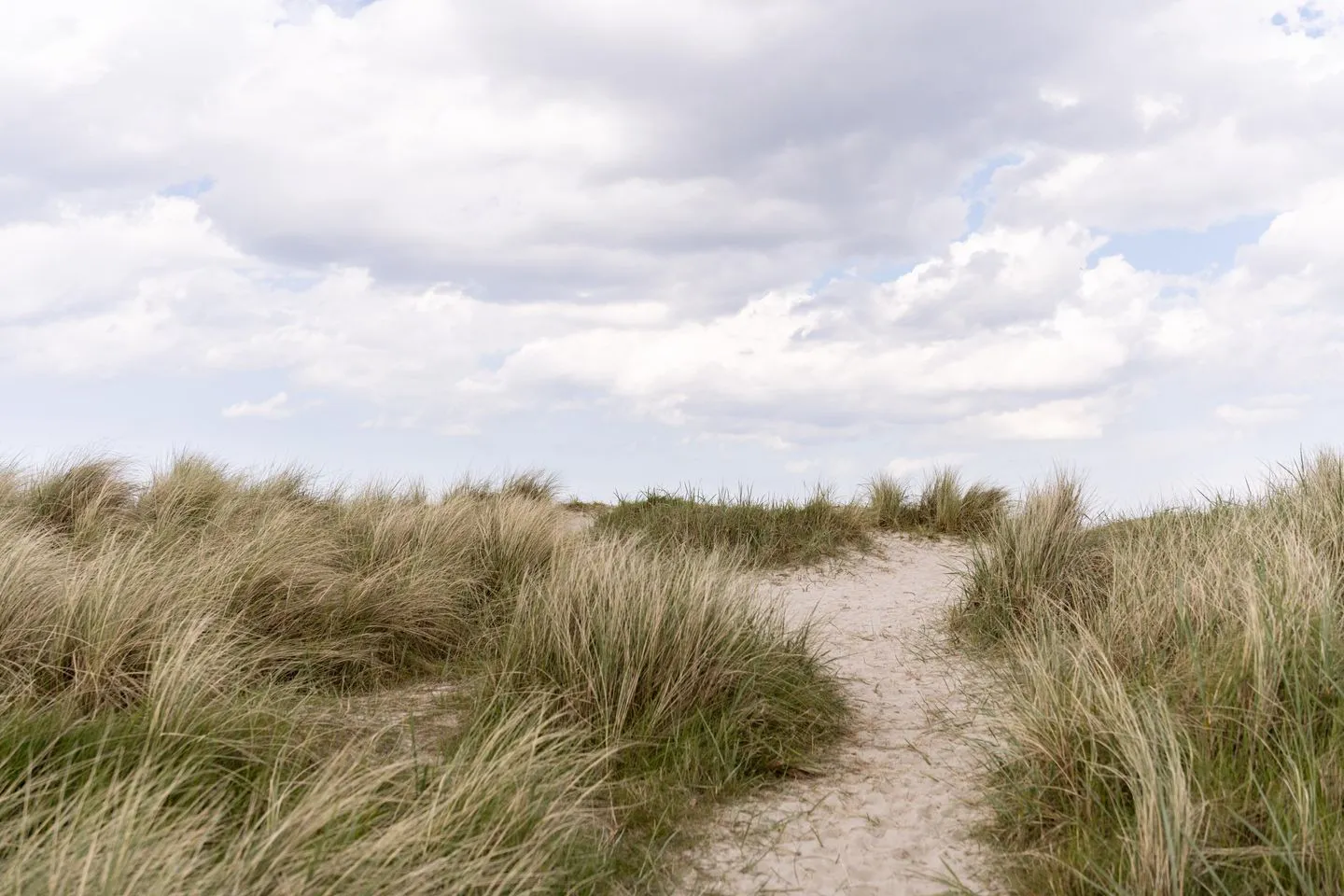 Seaside (49.3.N) Wangerland - Strand