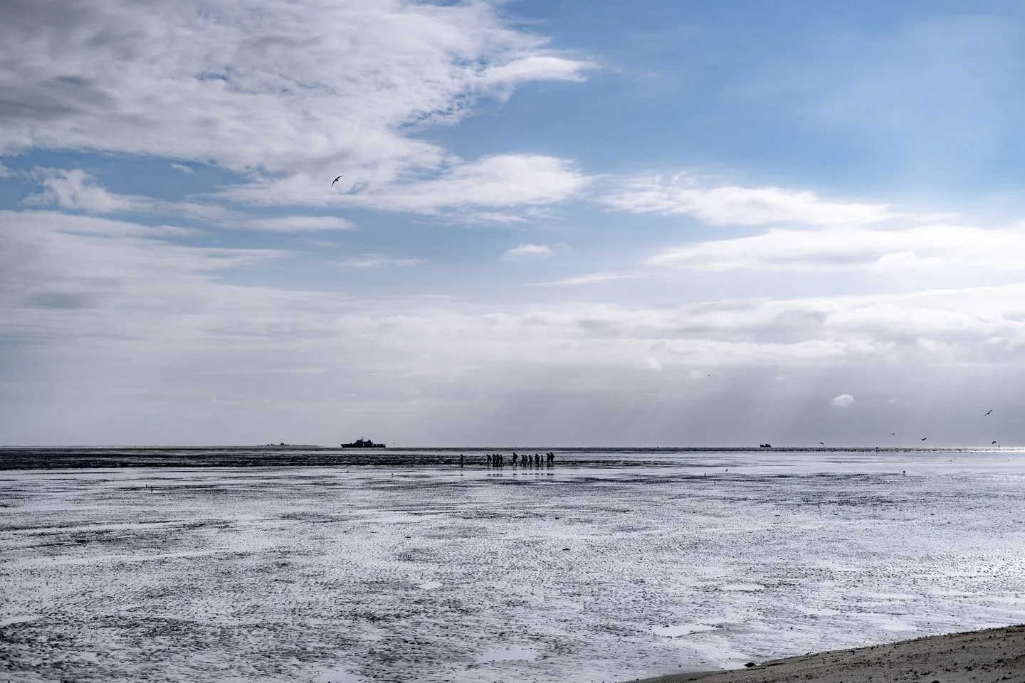 Seaside (49.3.N) Wangerland - Strand