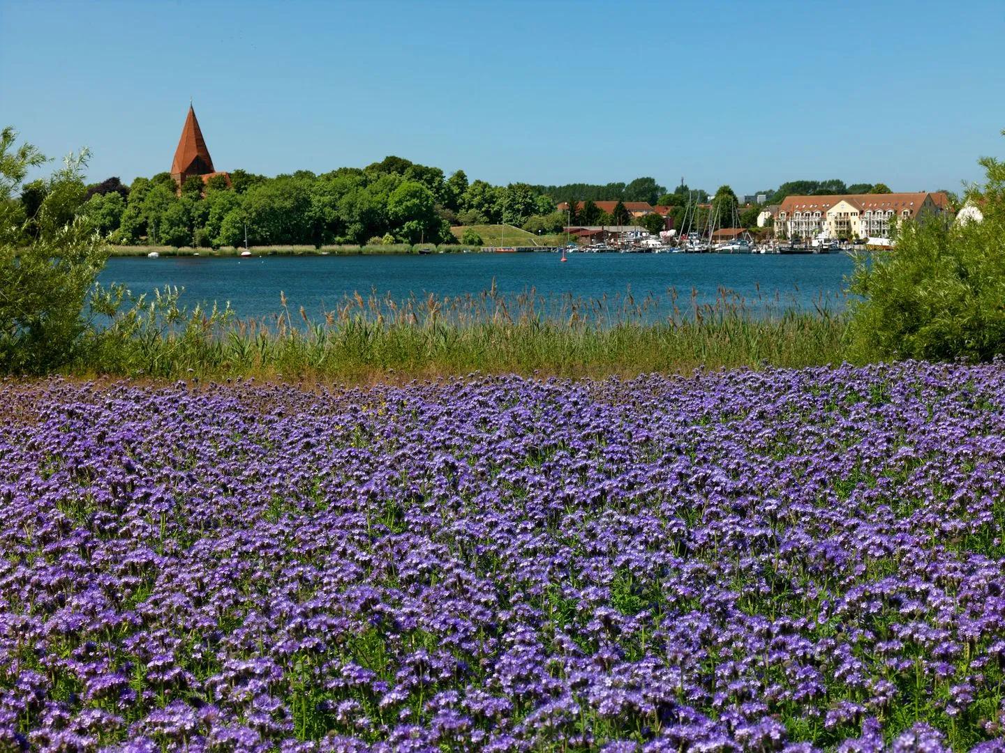 Residenz am Yachthafen Hafentraum Kirchdorf - Neighbourhood