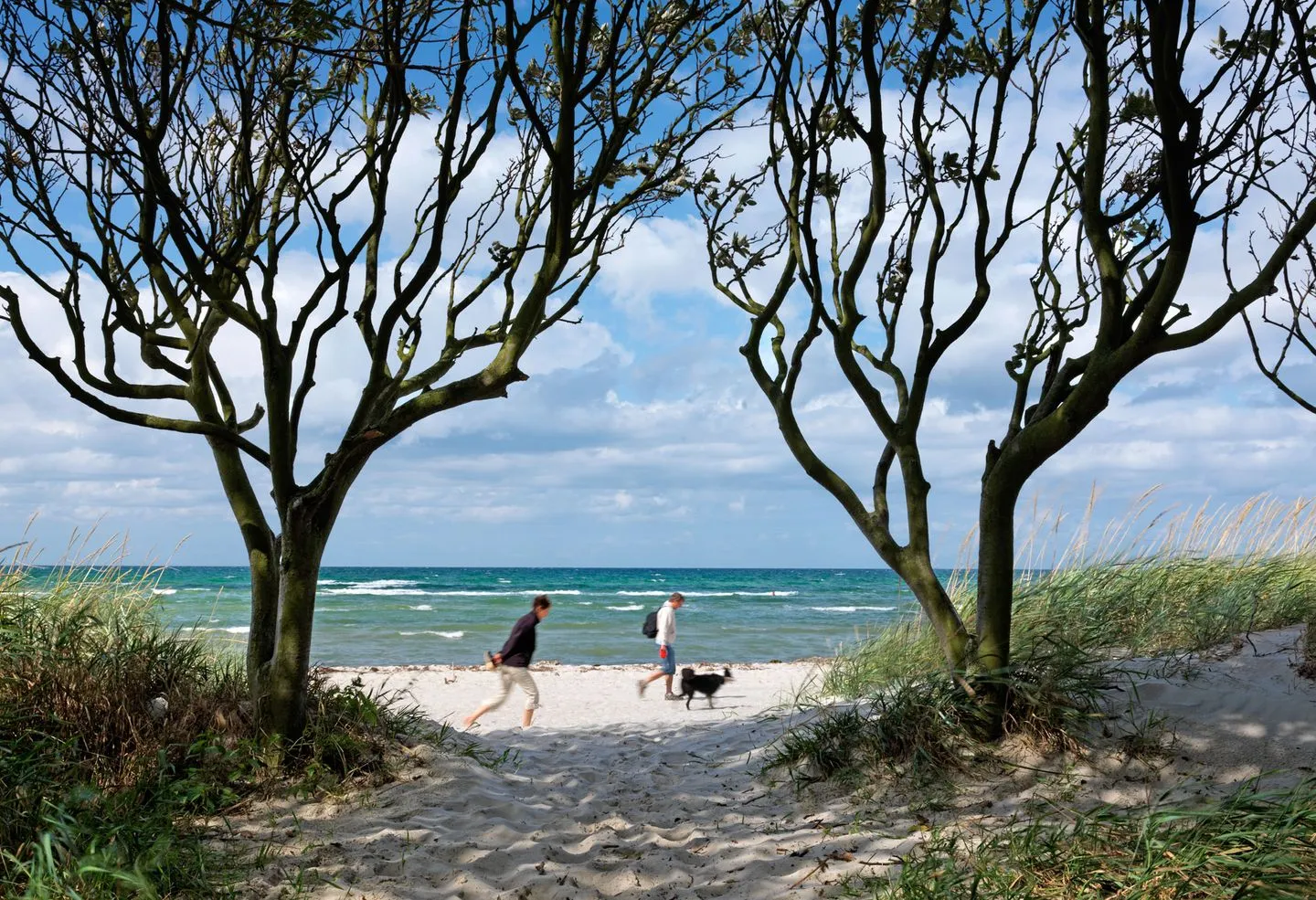 Felicitas Timmendorf Strand - Beach