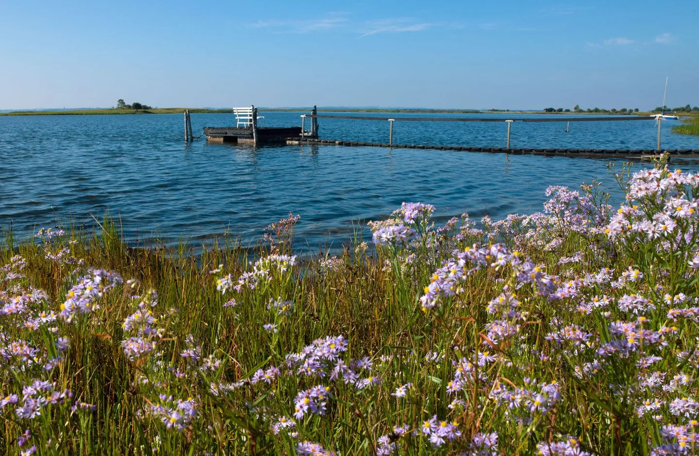 Landhaus am Meer Avalee Gollwitz - Landschaft