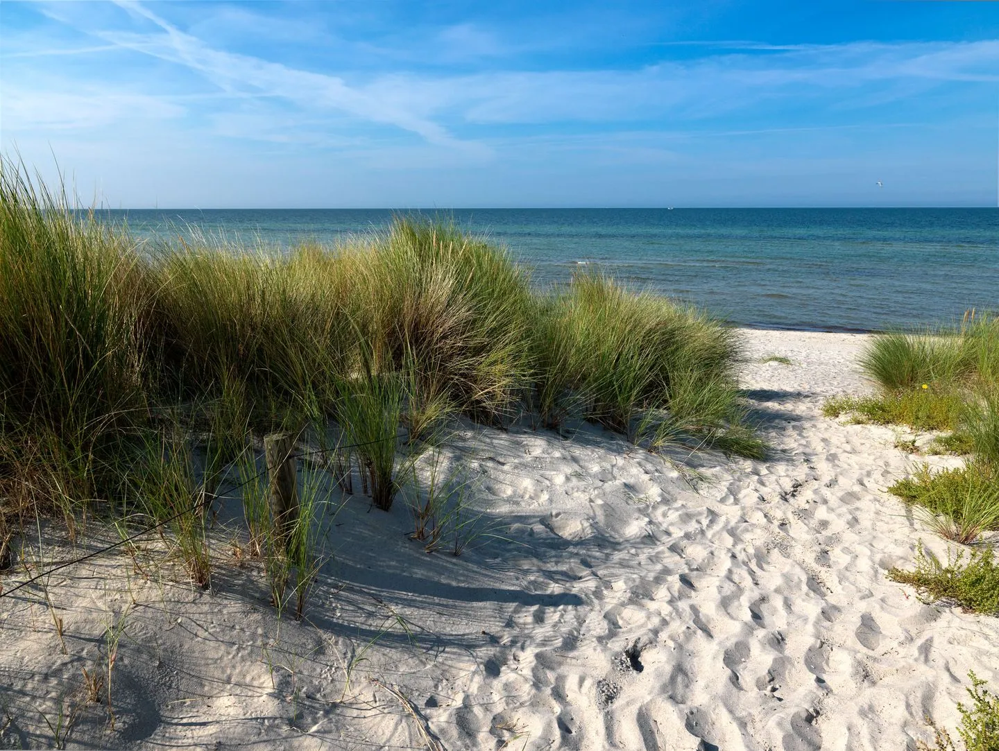 Gollwitzer Park Eulennest Gollwitz - Beach