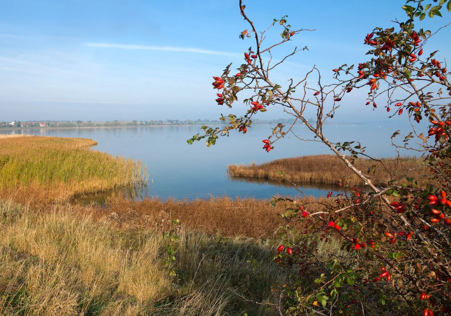 Ferienanlage Poschmann Fischerstube Vorwerk - Landschaft