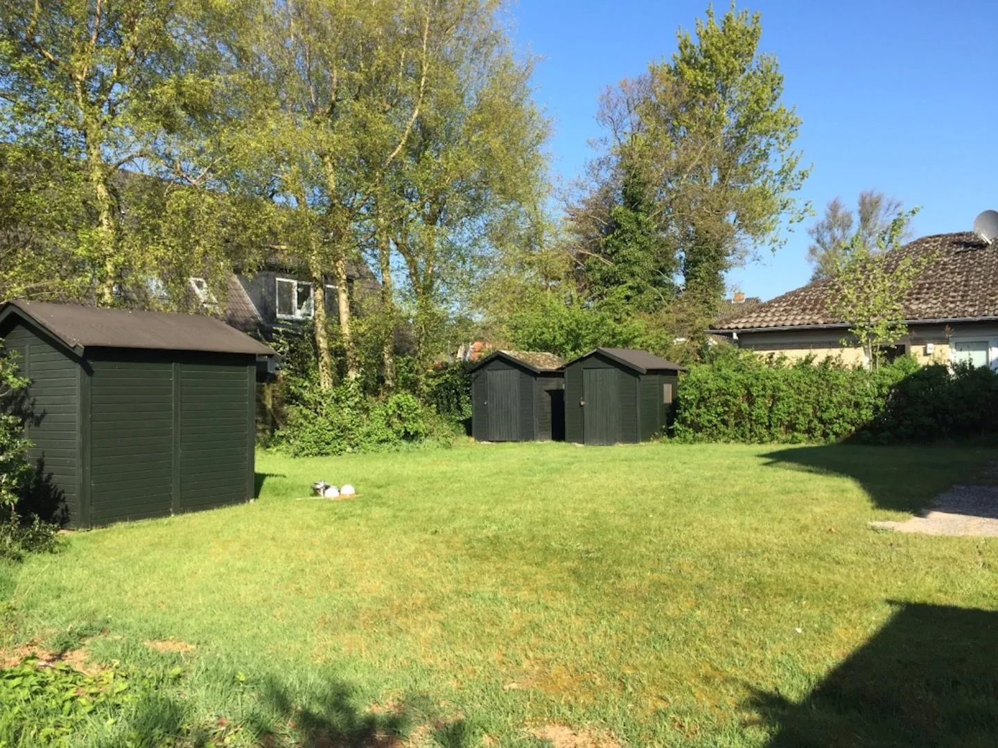 Friesenjung Böhl - Garten