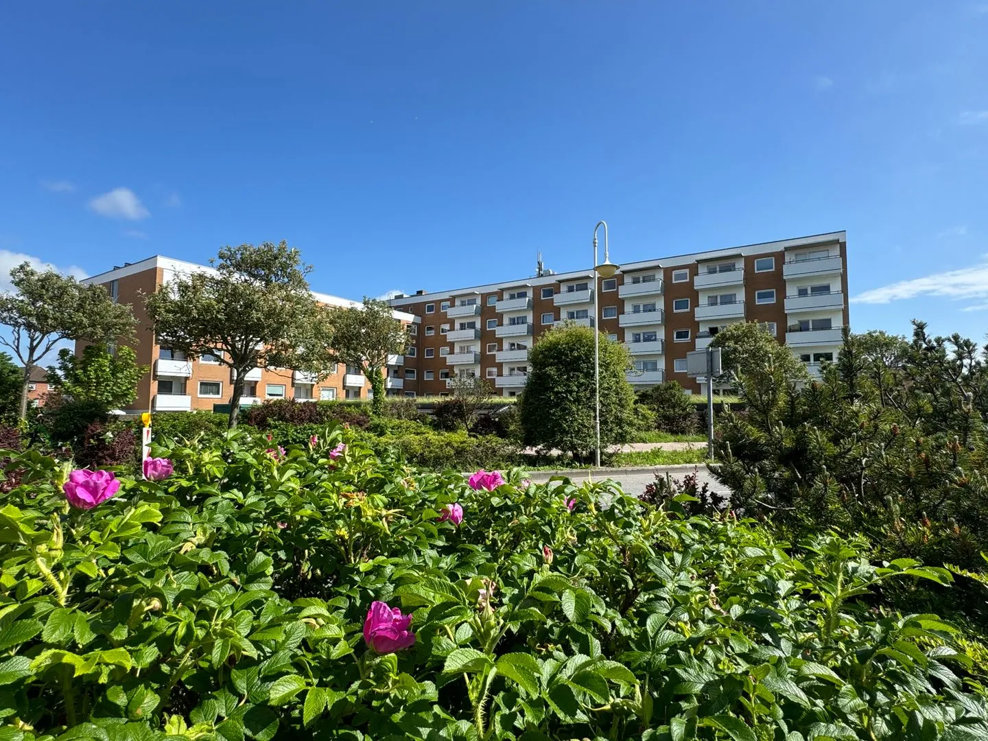 Ferienwohnung im Haus Nordland App 106 (Hund) Westerland - Hauptansicht