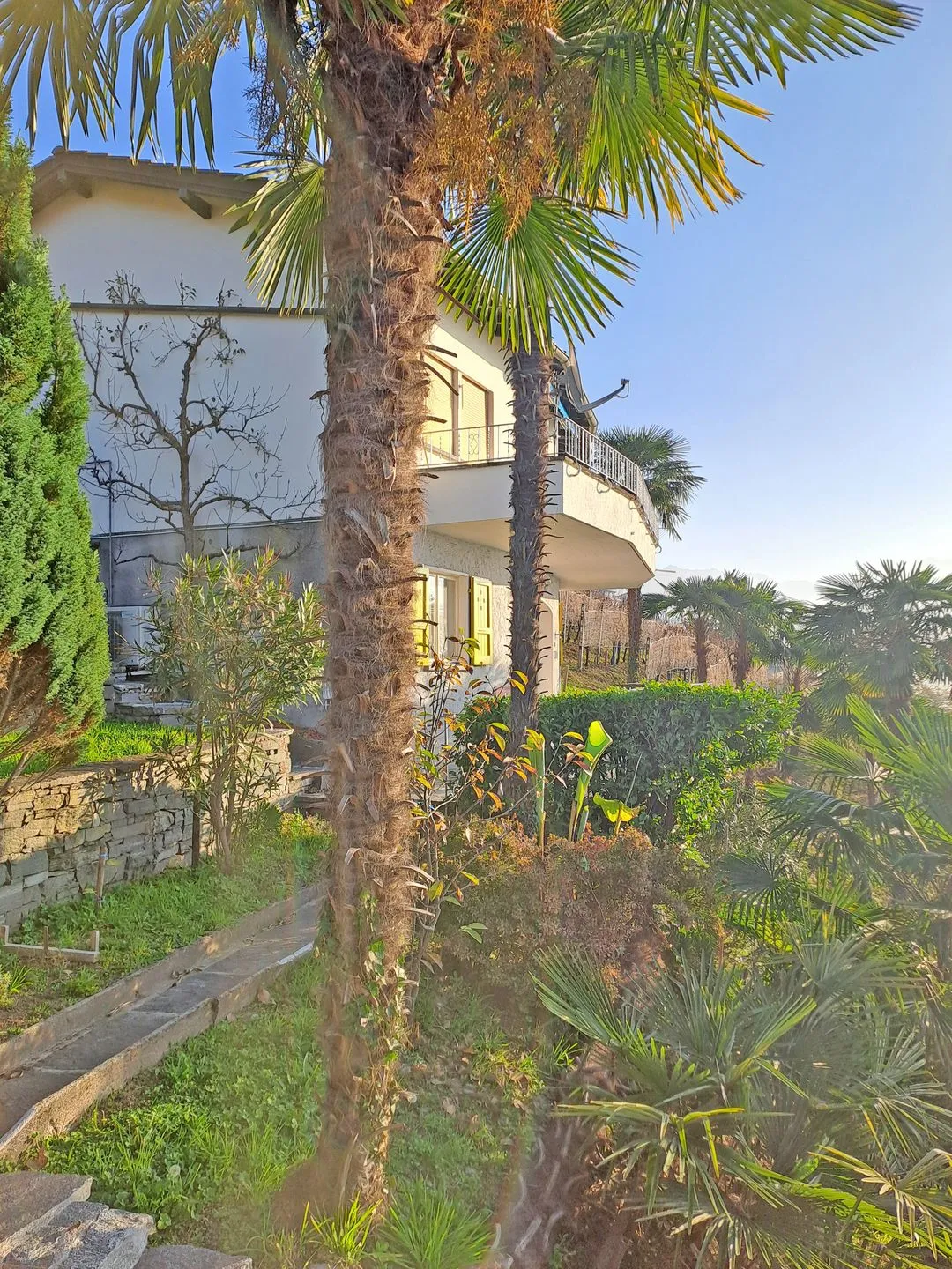 Casa Nido di Rondine Locarno -