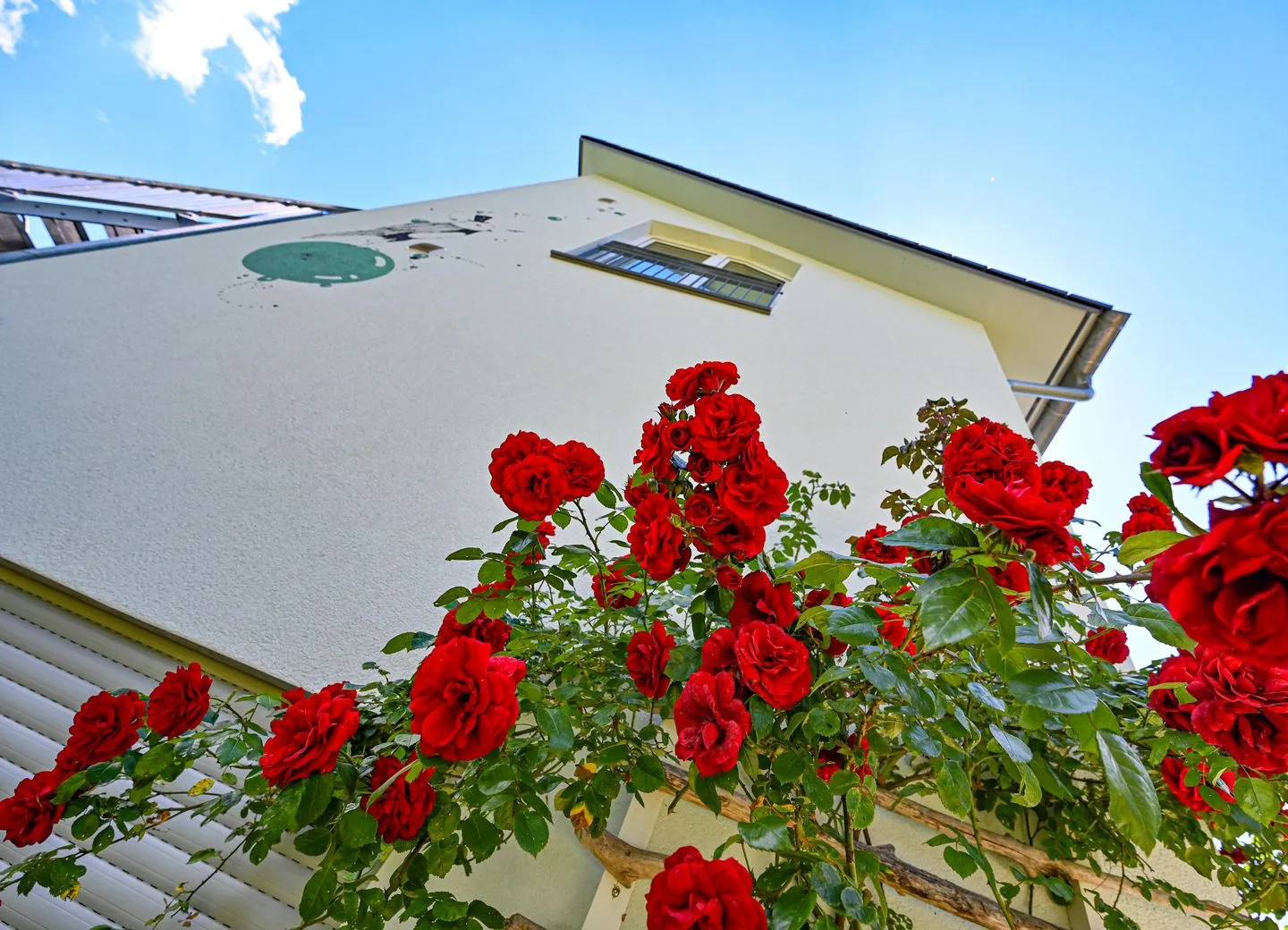 Apartment mit überdachtem Balkon 7/7 OG Bodensee - Hauptansicht
