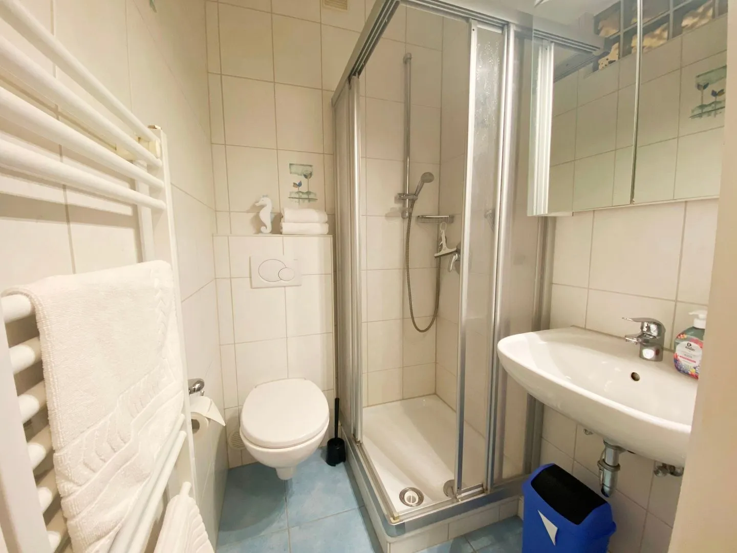 Haus Dithmarschen Wohnung 7 Büsum - Badezimmer