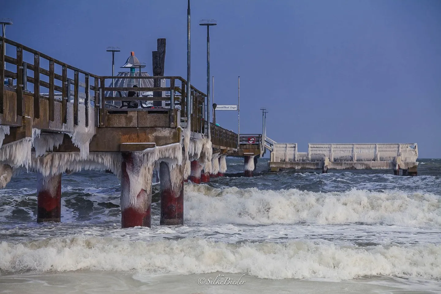 FeWo "Neue Liebe" Zingst - Strand