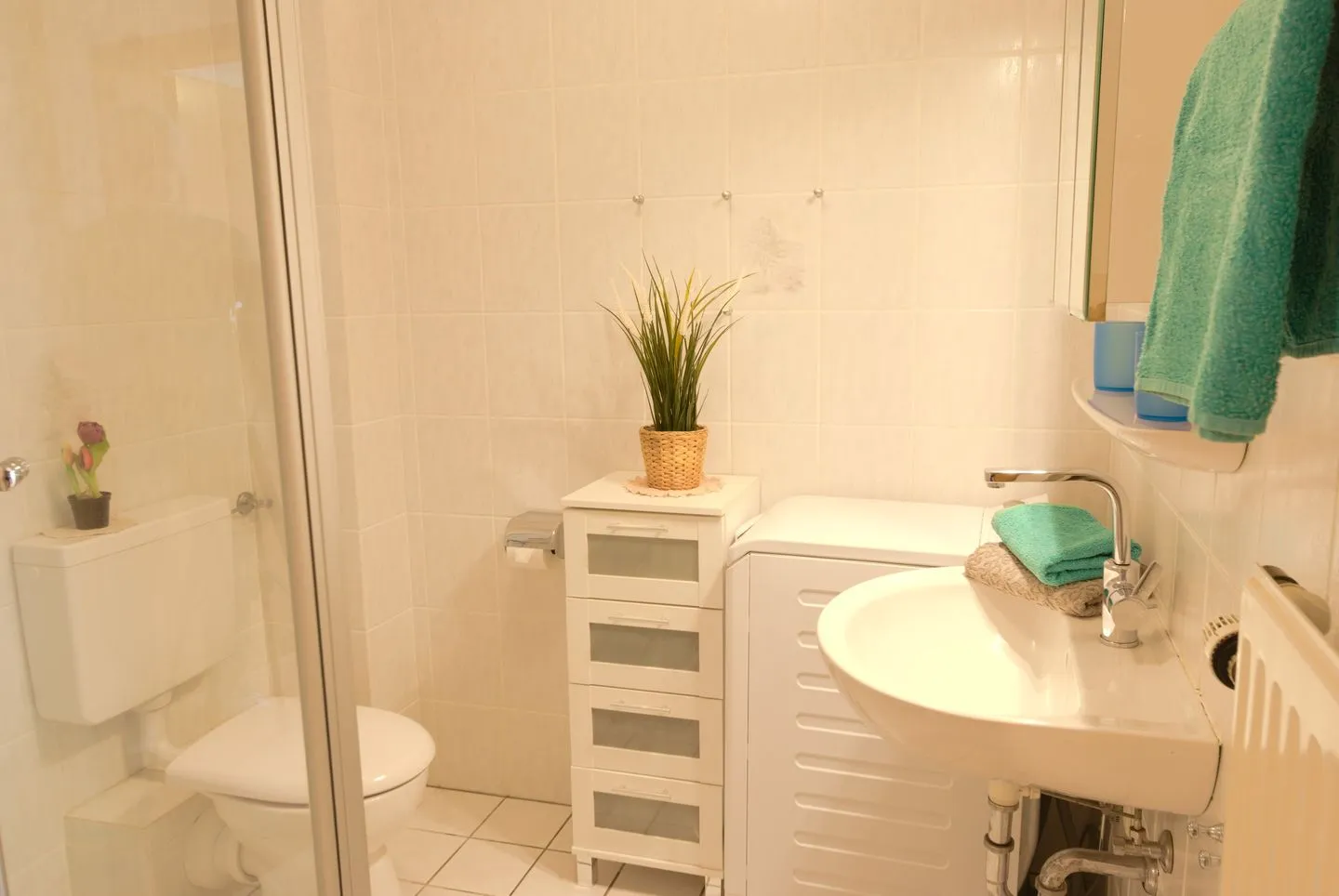 Ferienhaus Veldhoen Norddeich - Badezimmer