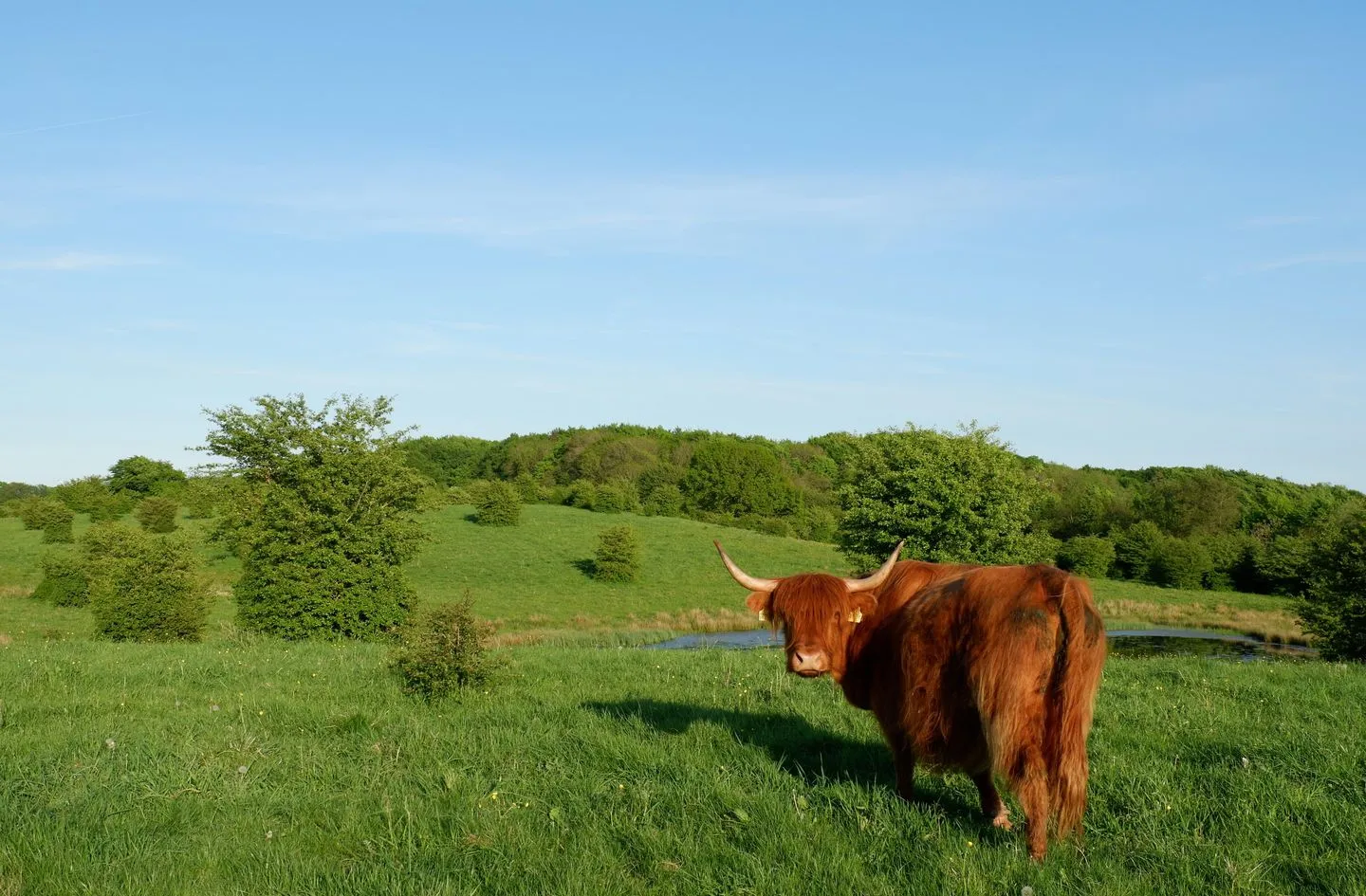 Reethus Koppelkiek Husby - Landschaft