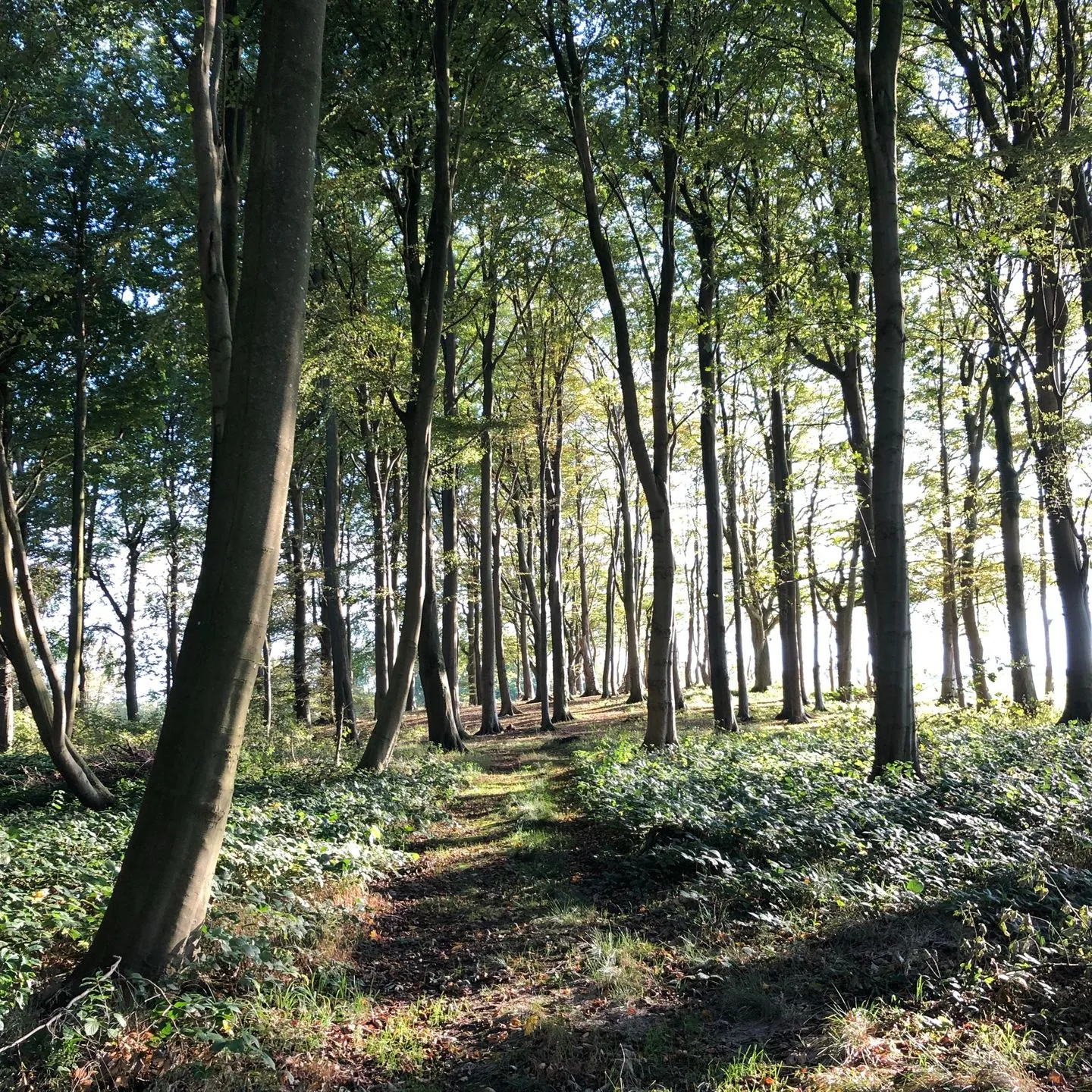 Reethus Koppelkiek Husby - Landschaft