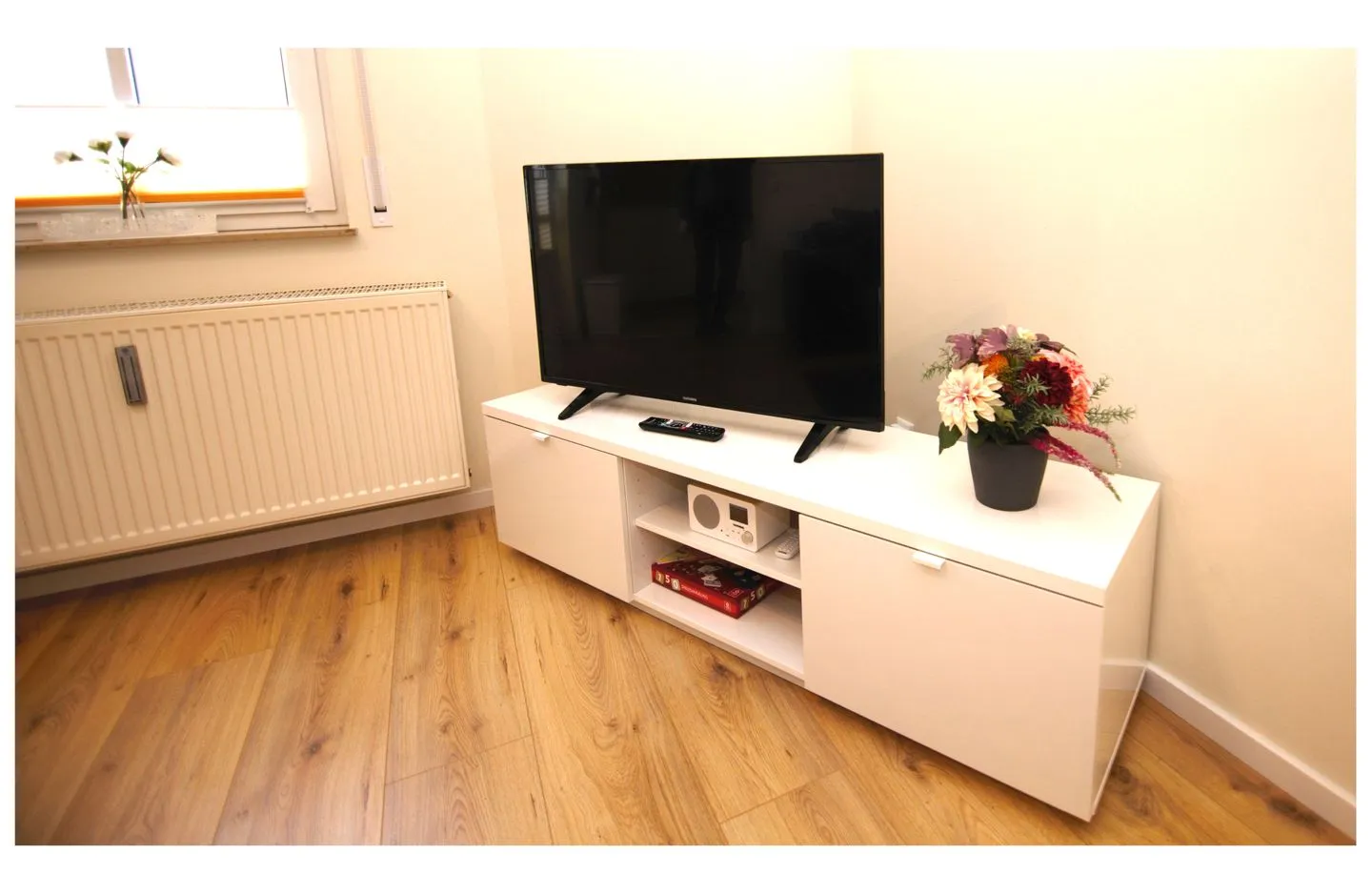 Friedrichs Stübchen *modern*Innenstadt*Stellplatz* Dresden - TV / multimedia