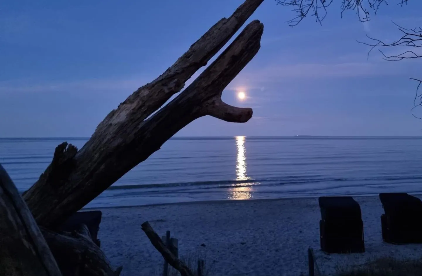App. 10 mit Terrasse, Privatstrand Lobbe - Meerblick