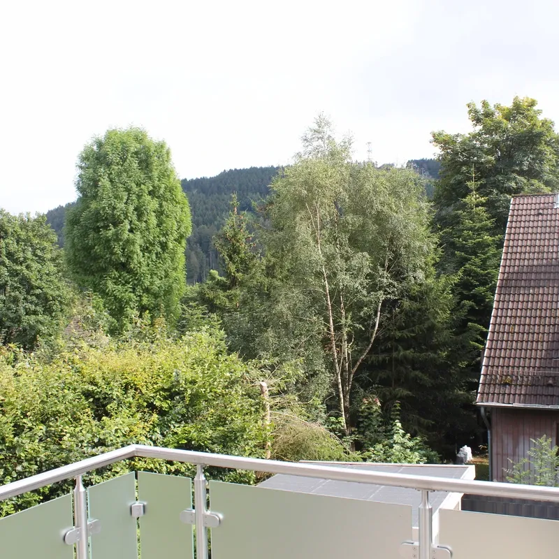 Wohnung Hahnenklee Hahnenklee -