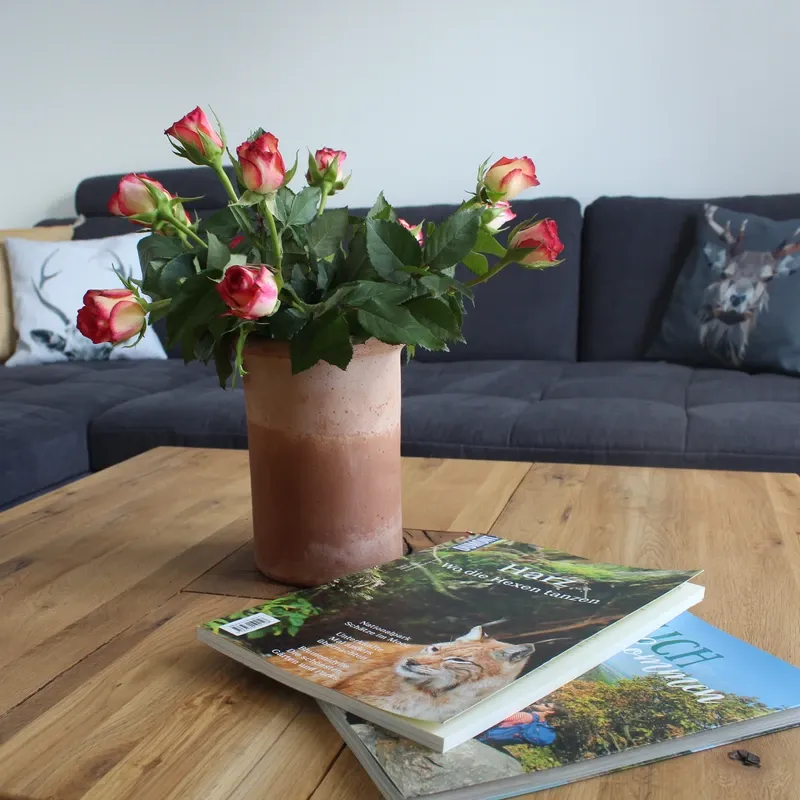 Wohnung Hahnenklee Hahnenklee -