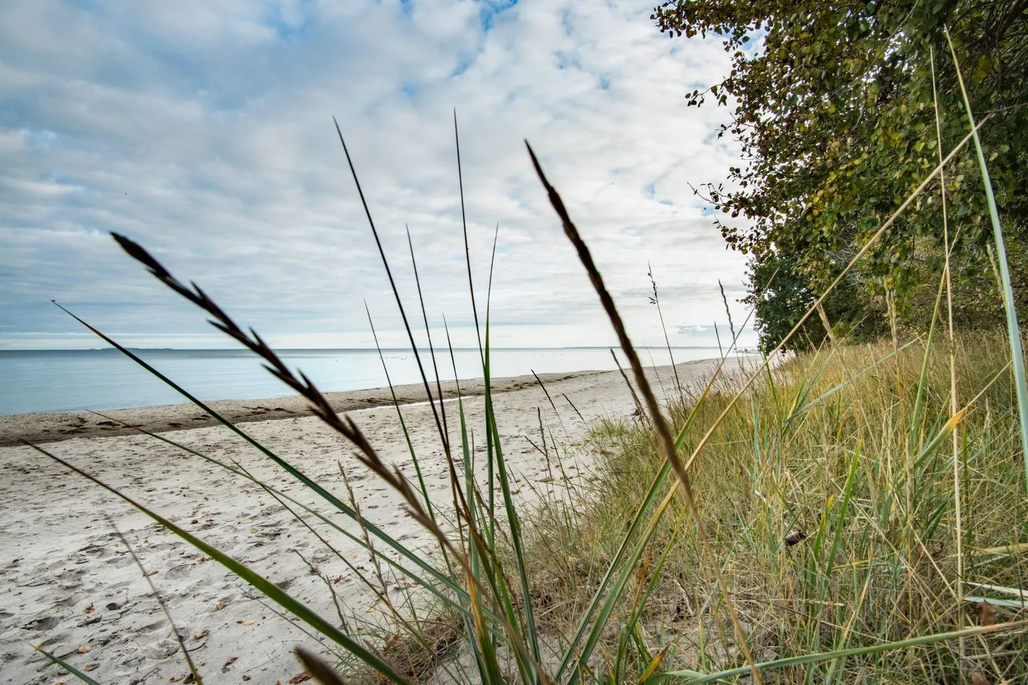 Wohnung 15 - Suite Bragi Lobbe - Strand
