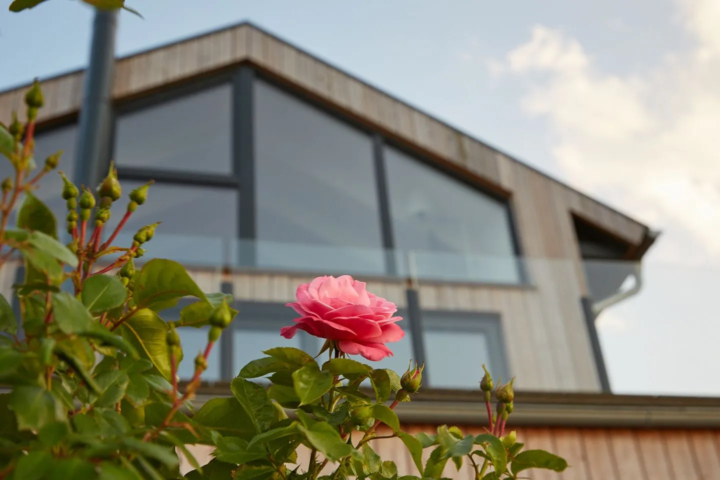 Entspannt Urlauben am Wasser: Ferienhaus "Schuppen 23" für bis zu vier Personen! Stexwig - Hauptansicht