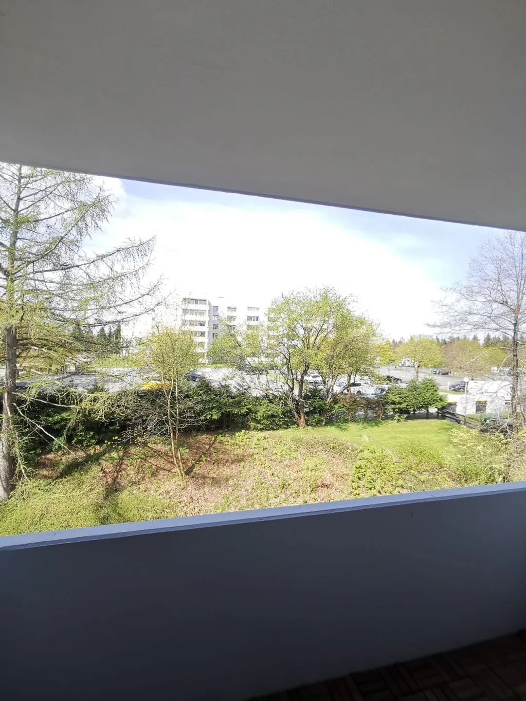 Ferienwohnung Pitt Hahnenklee -