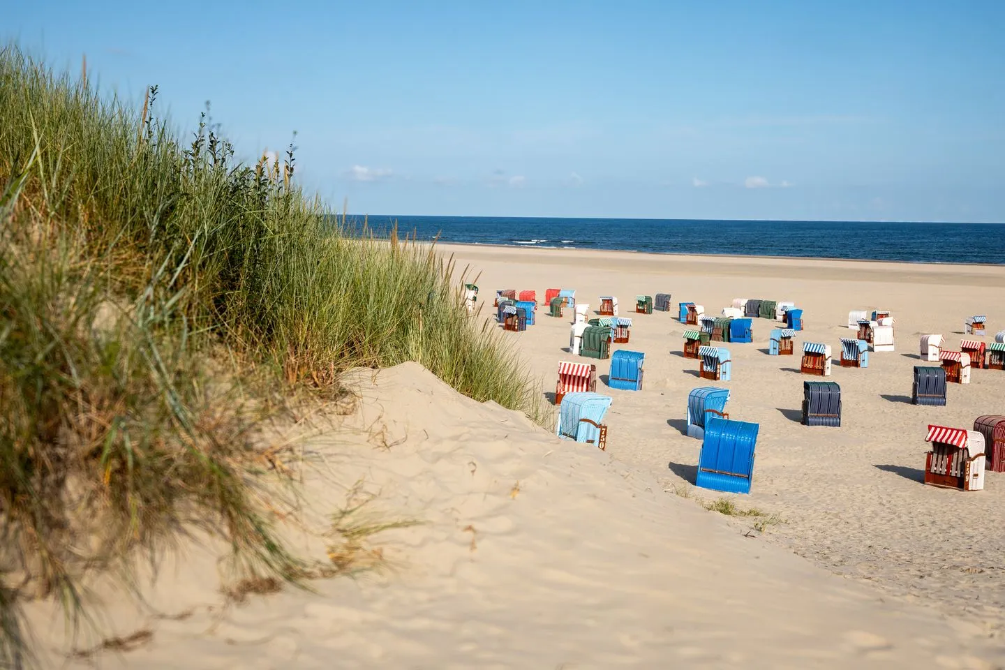 Seestern Juist - Strand