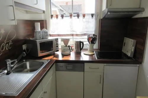 Austernfischerin Langeoog -