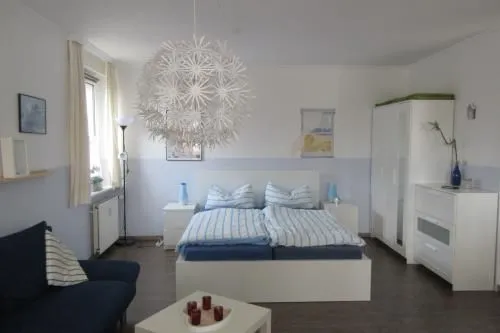 Austernfischerin Langeoog -